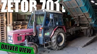 Zetor 7011 Driving from the GoPro view | Potato harvest