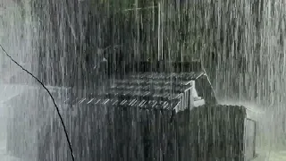 💤 Fall Asleep Fast in Minutes with Torrential Rain & Powerful Thunder Sounds | White Noise for Sleep