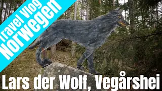 🚐 VanLife | Lars der Wolf, Vegårshei, Norwegen - Thomas auf van-tour im MB Sprinter
