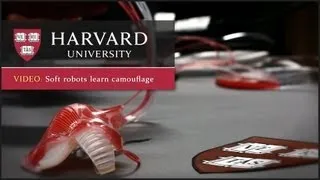 Harvard researchers demonstrate soft robot camouflage system