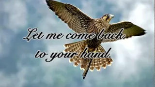 Heather Dale ~ "Hunter" ~ With Lyrics!