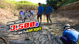 เหมาสระ 3,500 สู้กับความเย็นเยือก และฝูงปลานับหลายพันตัว /อะลางสะออน EP.1890