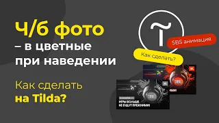 Как сделать ч/б фото цветным при наведении в Zero Block тильда? Простая пошаговая анимация в Tilda.