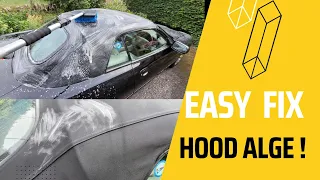 How to remove green algae from convertible soft top.