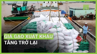 Giá gạo xuất khẩu tăng trở lại | VTC16