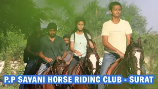 P.P Savani horse riding club surat - Kathiyawadi horse - Marwari horse - The horses of india