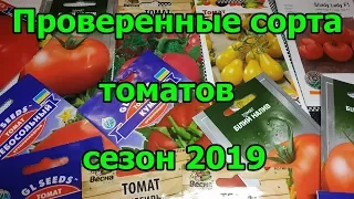 Проверенные сорта томатов. Сезон 2019.