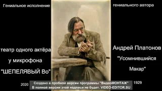 Андрей ПЛАТОНОВ "Усомнившийся Макар", аудио-книга, Театр одного актера у микрофона "ШЕПЕЛЯВЫЙ Во"