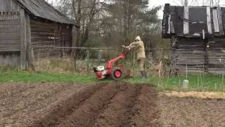 Мотоблоком МТЗ сажаем картофель. (Видео для своих. Смотри описание прежде чем хэйтить.)