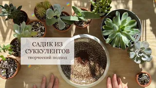 "Букет" из суккулентов в горшочке. Сажаем растения творчески. / "Bouquet" of succulents in a pot.