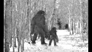 the "Hidden Bigfoot Photos Found" claim