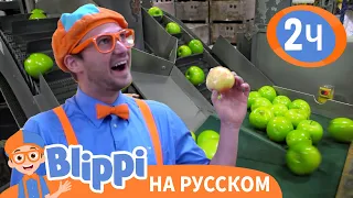 Как устроена Яблочная Фабрика🍎🍏 | Изучай этот мир вместе с Блиппи | Blippi Russian