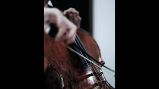 Elgar Cello Concerto (2nd Mov) | #the1000dayjourney