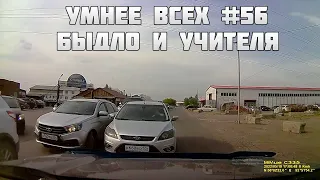 УМНЕЕ ВСЕХ #56. БЫДЛО И УЧИТЕЛЯ НА ДОРОГЕ