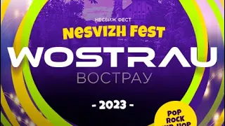 Наша поездка в Несвиж на фестиваль Wostrau 🙌🏼 лето 2023 #несвиж #wostrau #фестиваль #video #vlog