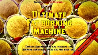 ★The Ultimate Fat Burning Machine★