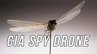 The Insectothopter: The CIA's Dragonfly Spy Drone from the 1970s