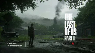 THE LAST OF US Part II 🎵 | 1h Soothing music & rainfall (TLOU 2 OST | Soundtrack)