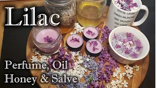 Lilac Magical & Medicinal Properties, Making lilac Moon water, Perfume, Oil, Tea, Honey & Salve