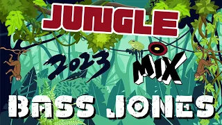 Jungle Mix 2023 | Drum and Bass | Ragga | Dj Bass Jones