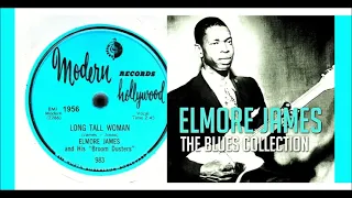 Elmore James - Long Tall Woman