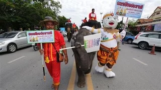 In Thailand, a Vote on a New Constitution