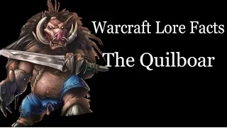 Warcraft Lore Facts - The Quilboar