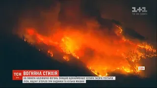 На півночі Каліфорнії вогонь знищив чотири тисячі гектарів лісів