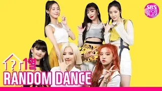 [랜덤1열댄스] RANDOM 1LINE DANCE (여자)아이들 ((G)-IDLE) │ Uh-Oh... 당신들은 오직 나만의 Senorita...💃 그녀들의 스웩에 취해버렸다..🤭