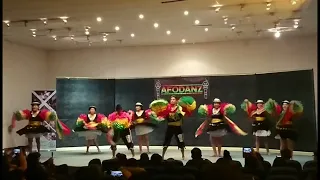 TUNDIQUI BOLIVIA - AFODANZ