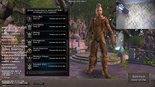 Онлайн стрим. Играем в Neverwinter Online. Новый класс. Играем за барда. Проходим сюжет. #9