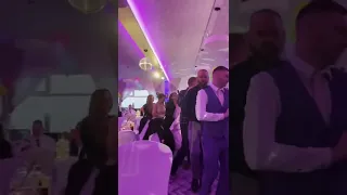 T. Rex’s turn up at wedding conga line