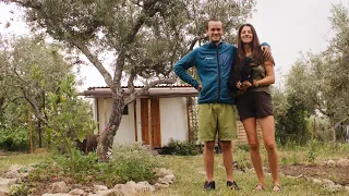Living in a secluded olive grove 🌱🫒 Building our dream life in Portugal 🌞🌻🦎