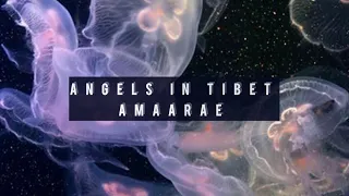 Angels in Tibet - Amaarae (Instrumental)