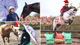 WHAT MY HORSES AND I EAT IN A DAY ~ And in hand training with my youngsters Vlogmas #5