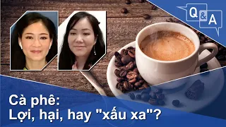 Cà phê: Lợi, hại, hay "xấu xa"? | VOA