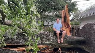 Massive tree falls on ABC13 Meteorologist Kevin Roth's house during severe storms