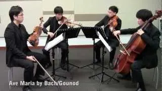 Ave Maria by Bach/Gounod (Singapore String Quartet)