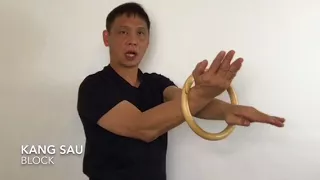 Wing Chun Chi Sau Ring Training Techniques