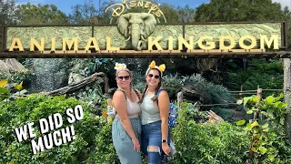 Animal Kingdom VLOG! Last Day at Disney World!