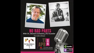 S4 Episode 4: No Bad Parts with Dr. Richard Schwartz, IFS Founder