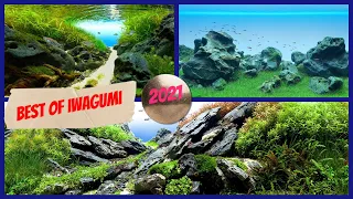 BEST OF IWAGUMI STYLE/ WINNER IAPLC 2021