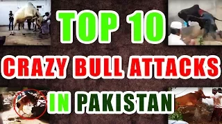 Top 10 Crazy Bull Attacks in Pakistan | Most Awesome Funny Crazy Bull Fails till Bakra Eid 2017