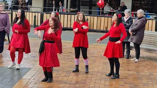 Wuthering Heights Day (2021 Dunedin) Warmup Act