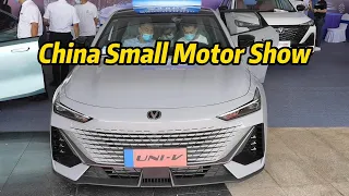 China small motor show 实拍中国小城市小型车展