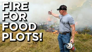 Using Prescribed Fire To Prep Your Food Plots!!