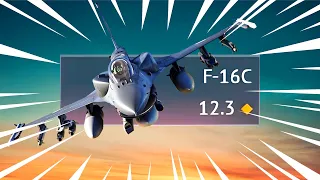 THE F-16C EXPERIENCE