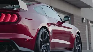 Новый Ford Mustang Shelby GT500 2020 дебютировал на видео