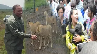 🚨FERME DE KINGAKATI + PARC DE LA VALLÉE DE NSELE DE KABILA