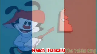 Wakko's America Multilanguage (FIRST WAKKO'S AMERICA VIDEO!)